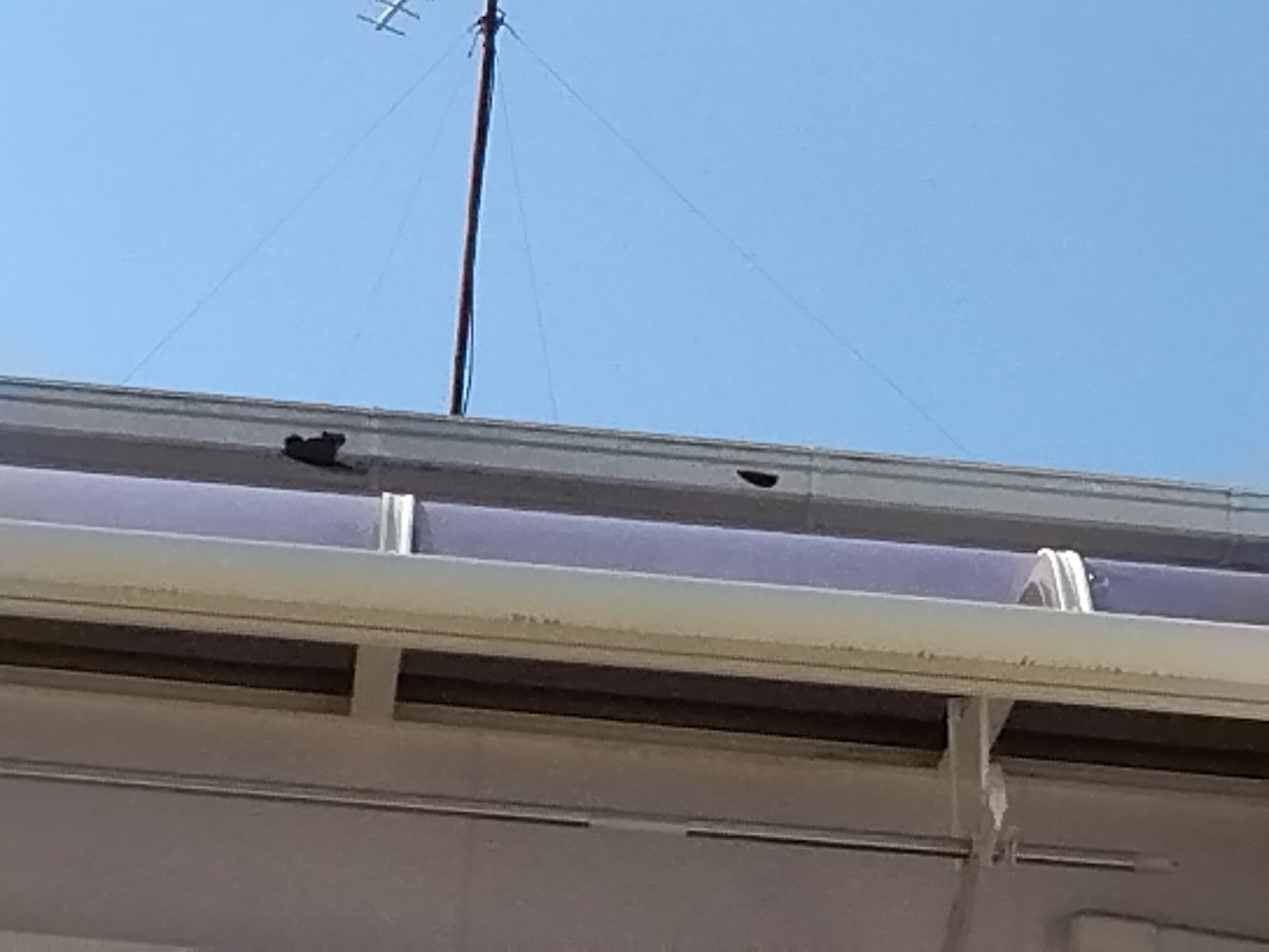 明石市　雹被害で軒樋が破損